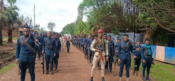 518407675_1157443763085637_300090932045380607_n