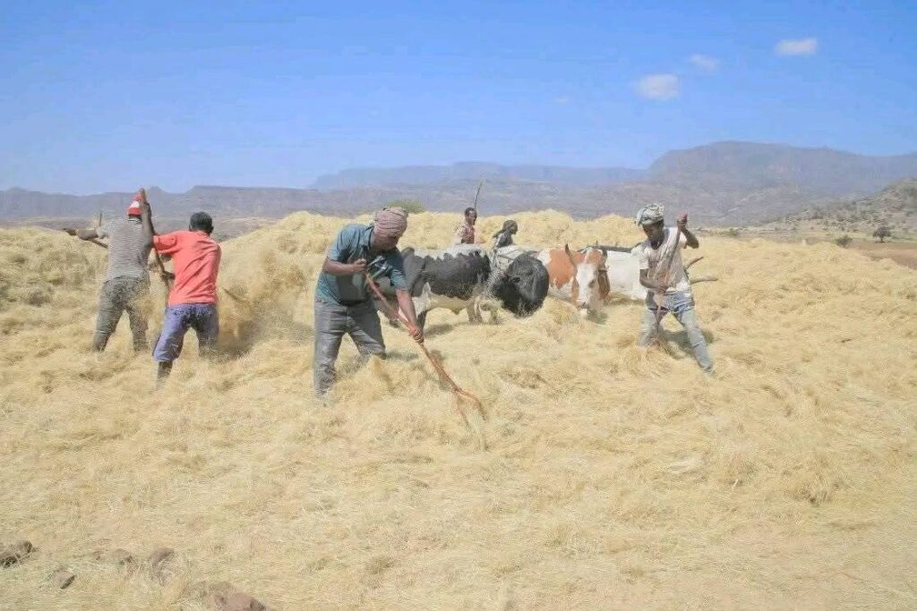 577436269_1253572986806047_2388944038552252357_n