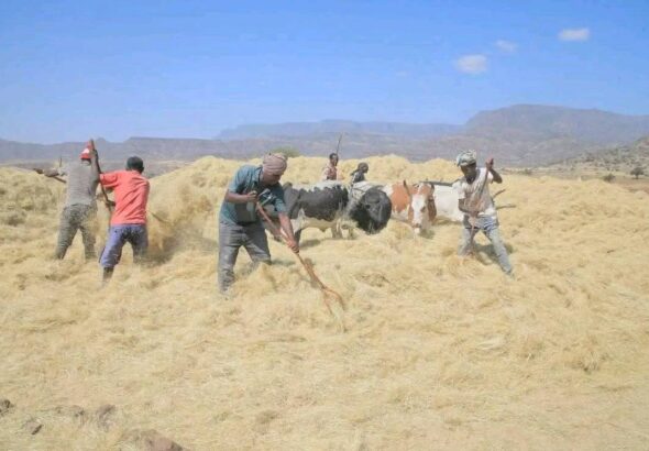 577436269_1253572986806047_2388944038552252357_n