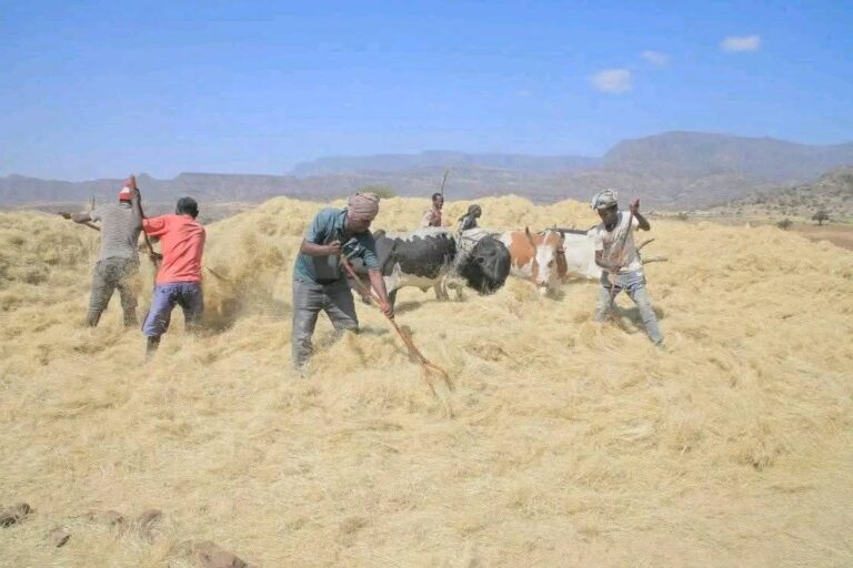 577436269_1253572986806047_2388944038552252357_n