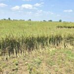 580759041_1263311472498865_8926377100655268637_n