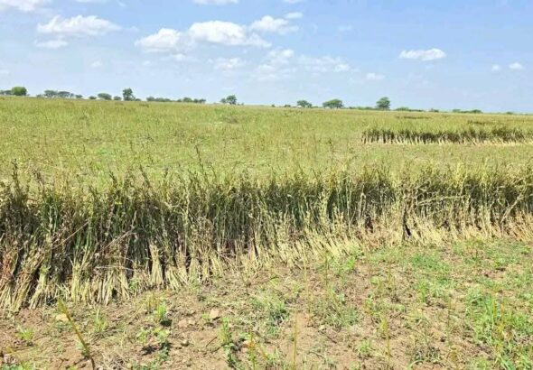 580759041_1263311472498865_8926377100655268637_n