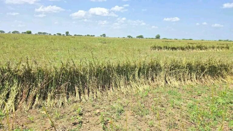 580759041_1263311472498865_8926377100655268637_n